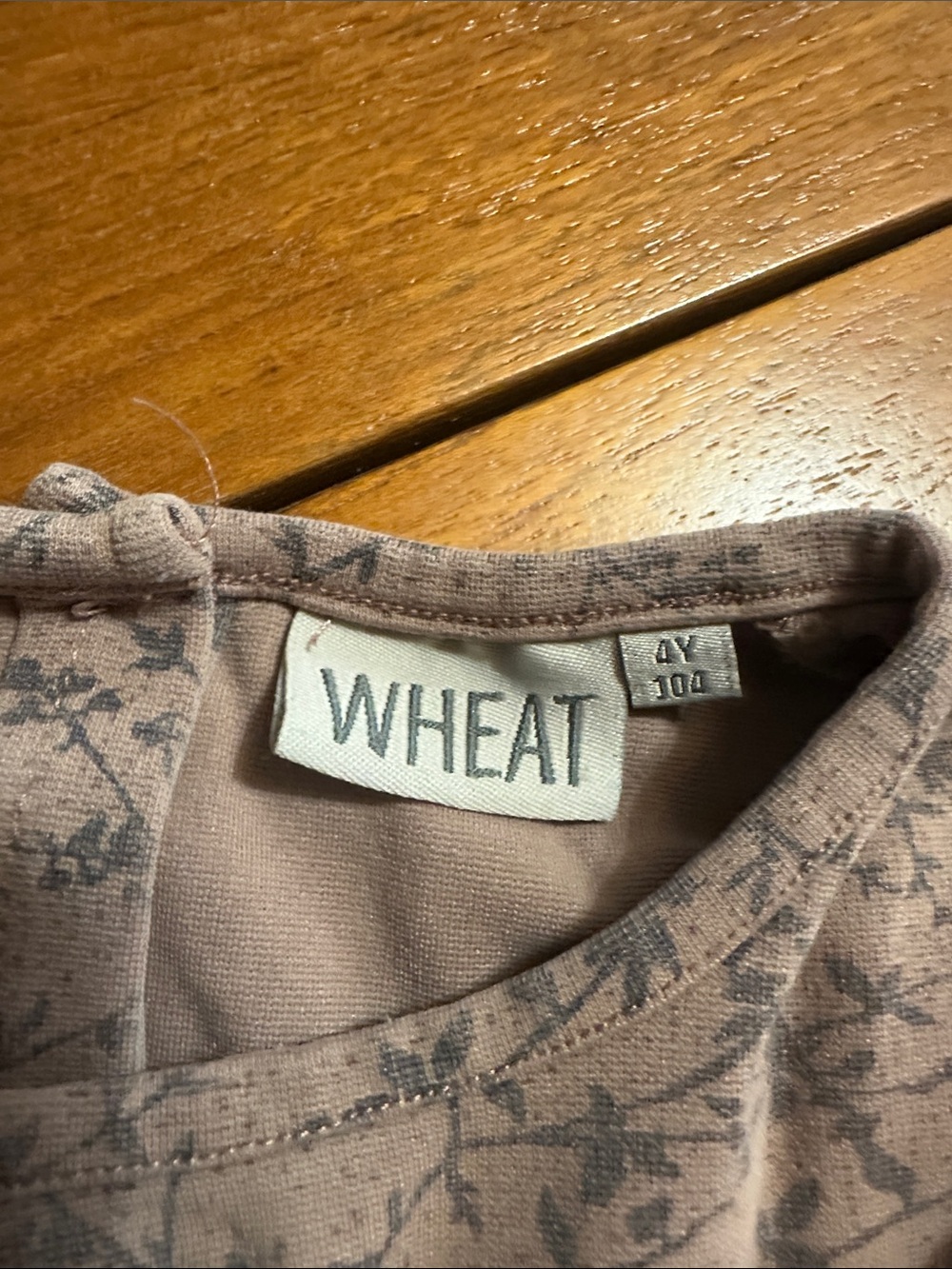 2 GAP Kids Dresses & 1 WHEAT kids dress size 4T - Picture 10 of 10